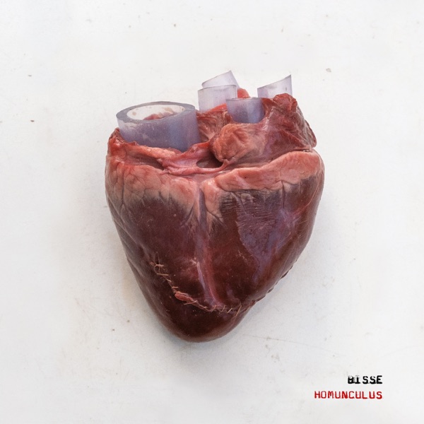 Bisse Alle Har Brug For Kærlighed Lyrics and ratings Rate Your Music